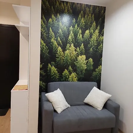 Apartament Pod Gora Szyndzielnia , Debowiec Bielsko-Biala Exterior photo